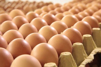 黔南自治州鸡蛋检测价格,鸡蛋检测机构,鸡蛋检测项目,鸡蛋常规检测